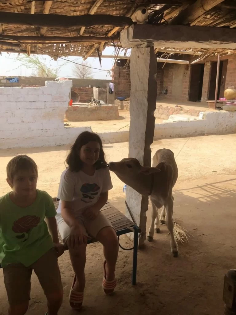 jodhpur for families