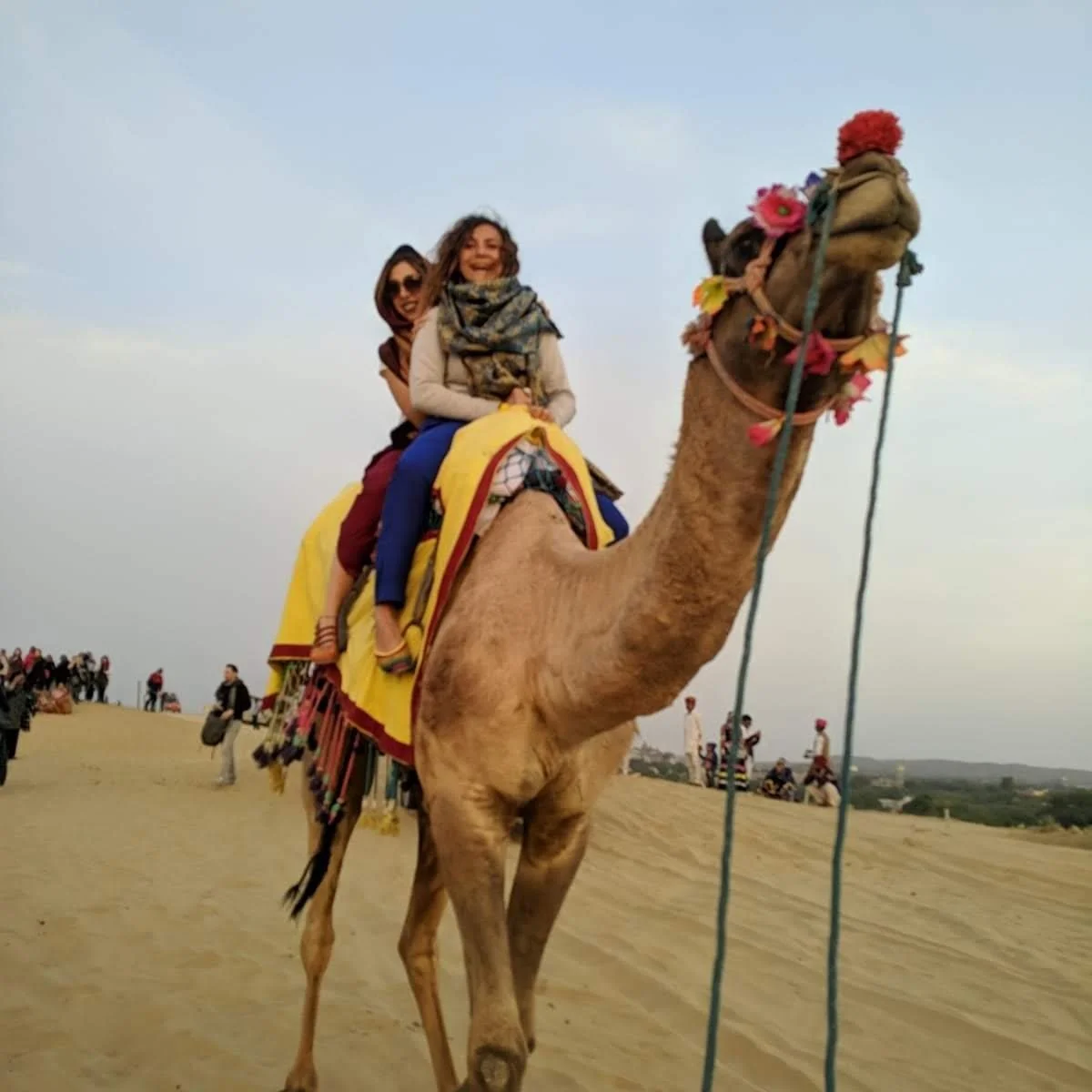 Camel Safaris and Desert Experiences