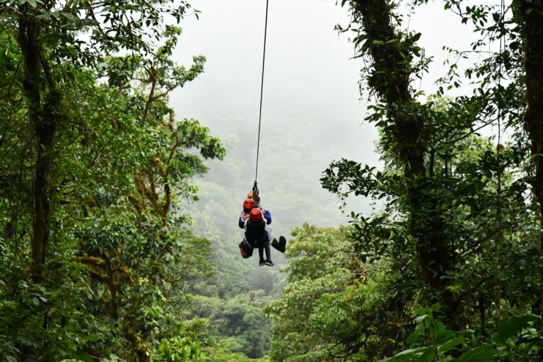 Flying Fox Zipline Jodhpur (Pexels stock)