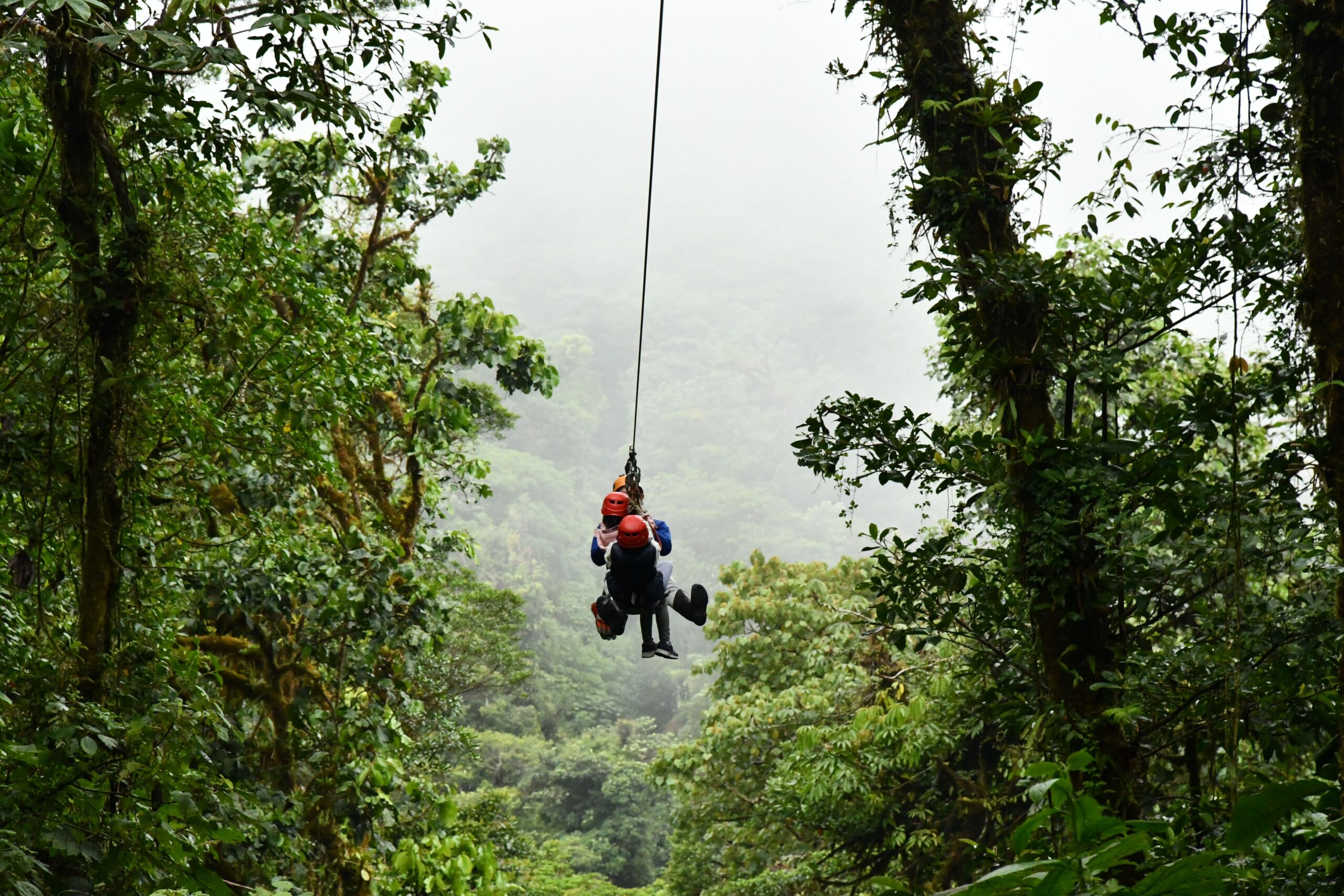 Flying Fox: Zipline Over the Fort