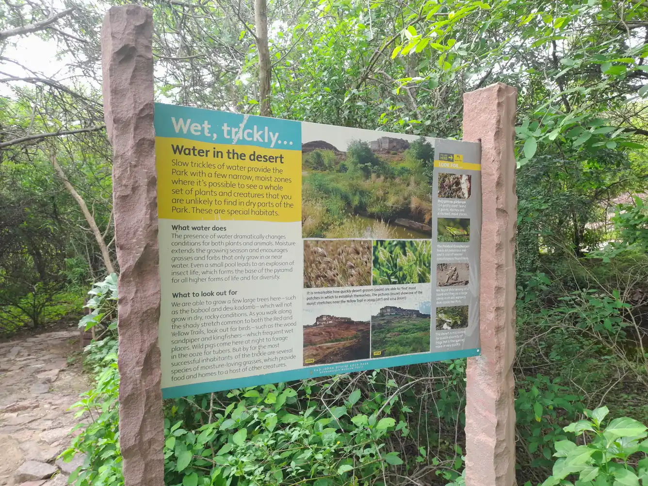 Rao Jodha Desert Rock Park