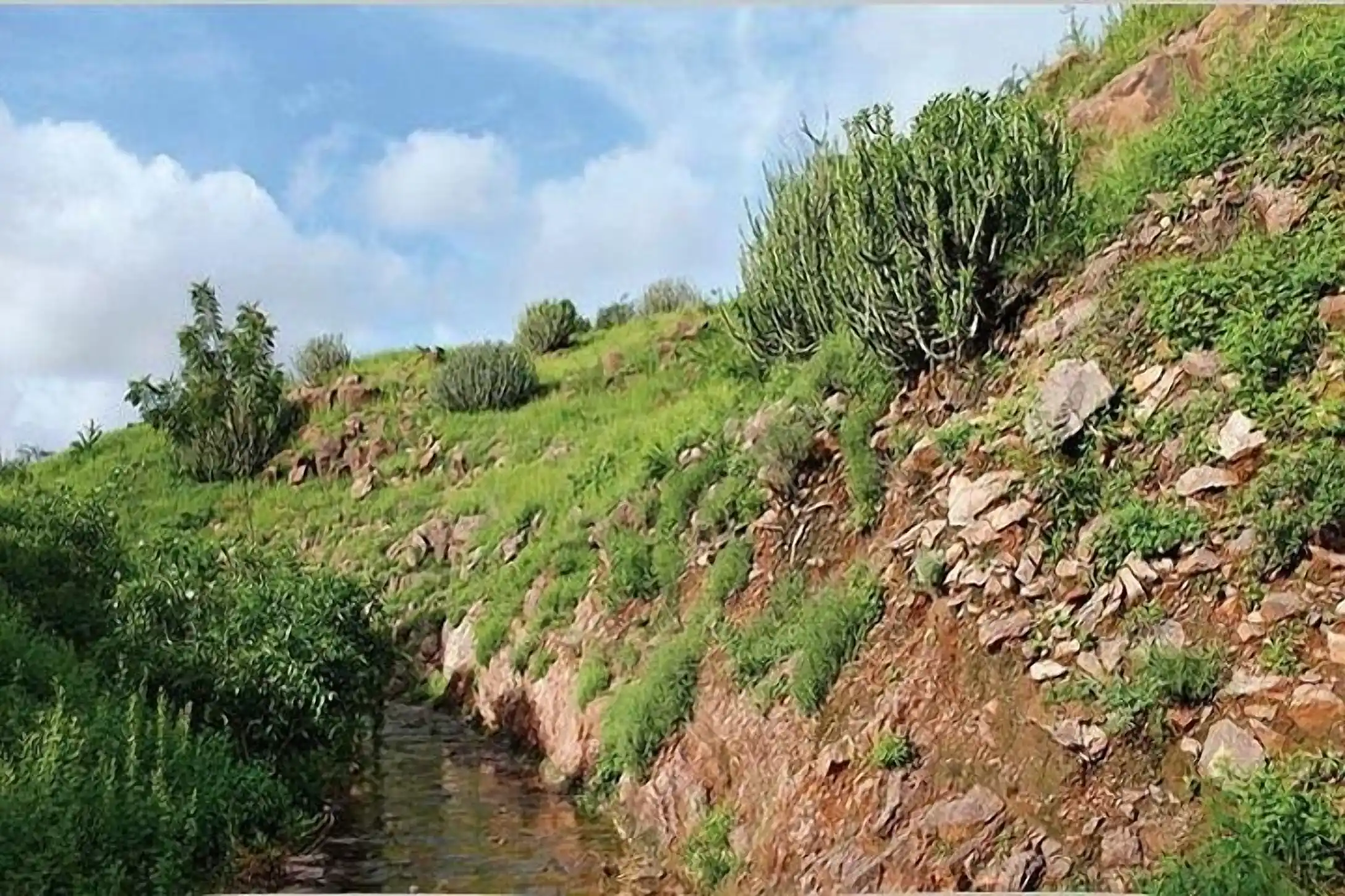 Best Nature Experiences Near Jodhpur
