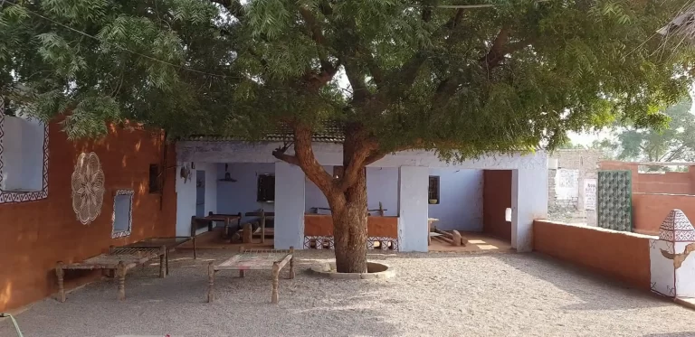 Jodhpur Rural Tourism: Villages, Farms & Local Life